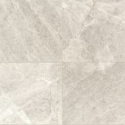 Arctic Gray Arctic Gray