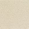 0001 Raw Silk