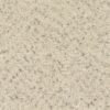 0001 Cotton Seed