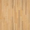 158 Bryce Canyon Maple