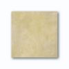 0001 Dusty Gold