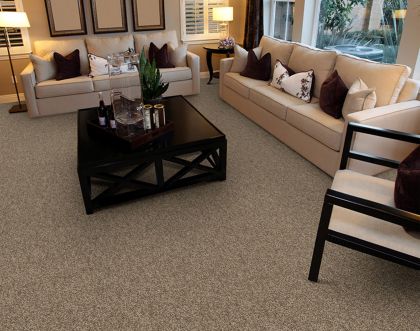 Stainmaster Amore 25791 Yucatan Carpet