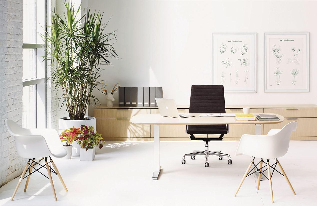 Renew Executive SittoStand Desk with Advanced Cord Management