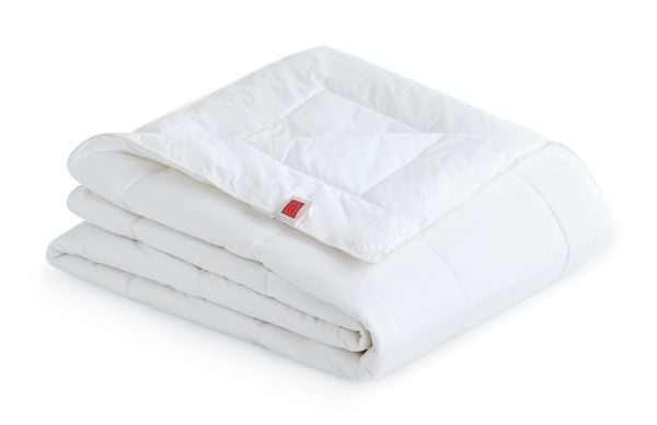 DWR Down-Alternative Duvet