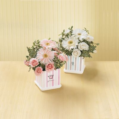 The FTD&reg; Baby Prince & Princess Bouquets