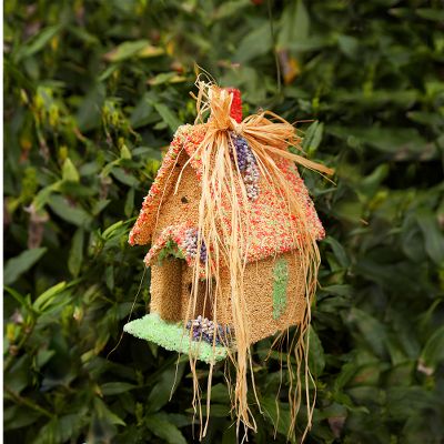 Bird Lover's Delight Edible Birdhouse