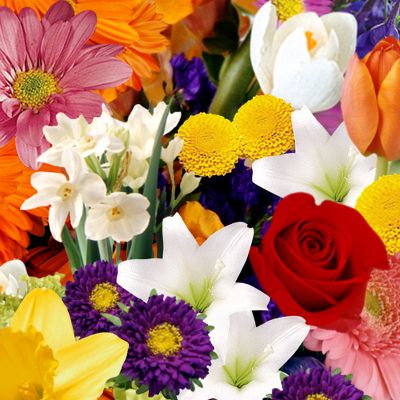 The FTD&reg; Holiday Florist Designed Bouquet