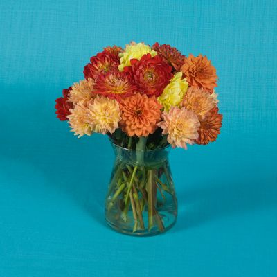 Vera Wang Dahlias