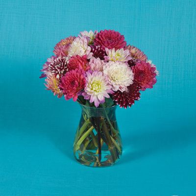 Vera Wang Dahlias