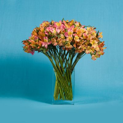 Vera Wang Alstroemeria