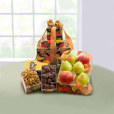 Stack of Cheer Fruit Gift Set