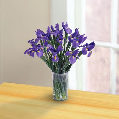 The FTD&reg; Blooming Iris
