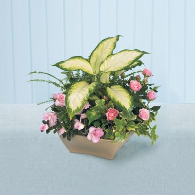 The FTD&reg; Garden of Grace Planter