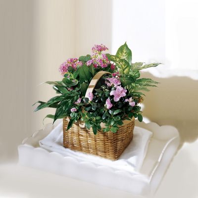 The FTD&reg; Pink Assortment