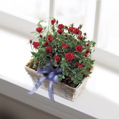 The FTD&reg; Village Rose? Basket