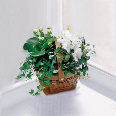 The FTD&reg; White Assortment Basket
