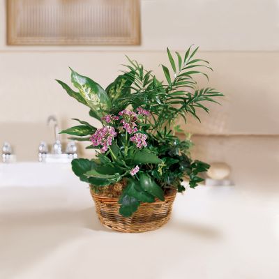 The FTD&reg; French Garden