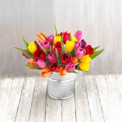 30 Stem Mixed Tulip Pail