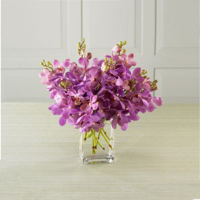 Twilight's Shadow Orchids