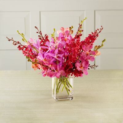 Tickled Pink Orchids