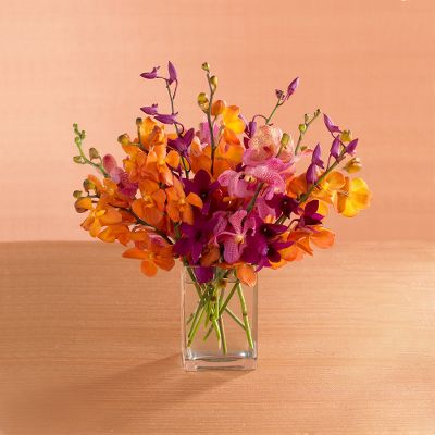 Tropical Temptations Orchid Bouquet