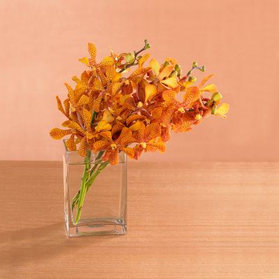 Dawning Desert Orchid Bouquet