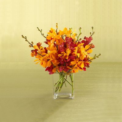 Pacific Passion Orchid Bouquet