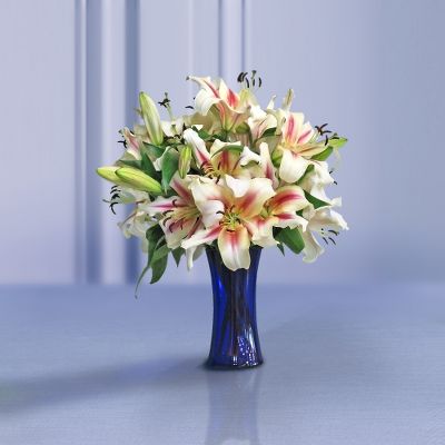 Candied Dreams Lily Bouquet