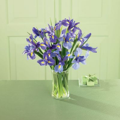 Iris Splendor Bouquet