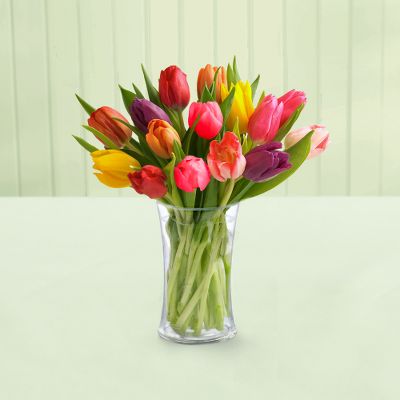 15 Stem Mixed Tulip Bouquet