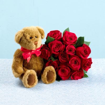 One Dozen Red Roses plus FREE Bear