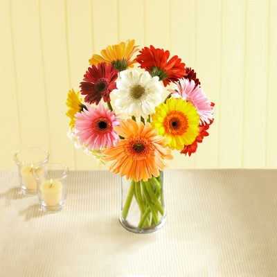 Gerbera Daisy Bouquet