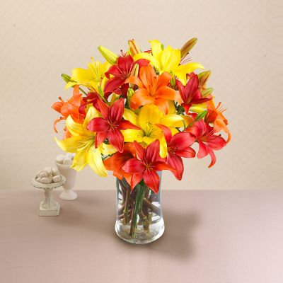 California Sunshine Mixed Asiatic Lilies