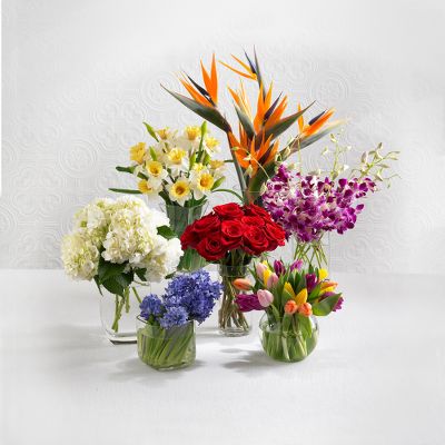 Monthly Flowers Gift Plan