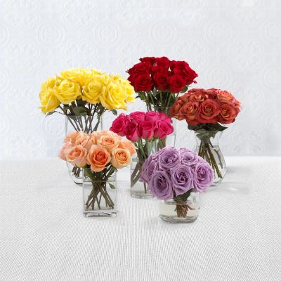 Monthly Rose Gift Plan