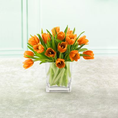 Pink Tulips plus FREE Vase