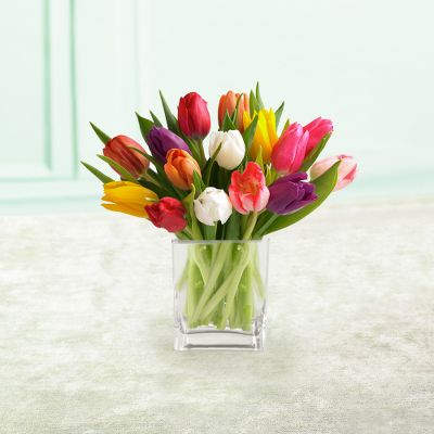 Mixed Tulips with FREE Vase