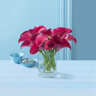 Pink Pirouette Mini Calla Bouquet