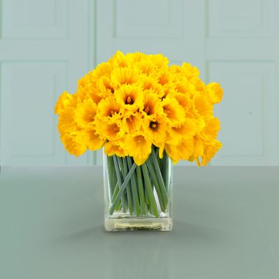 Jewels of Generosity Daffodil Bouquet