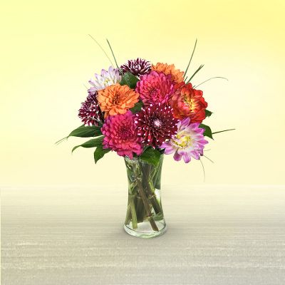 Summer Dahlia Bouquet with FREE Vase
