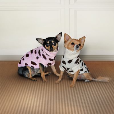 Lovely in Leopard Trendy Dog Sweater