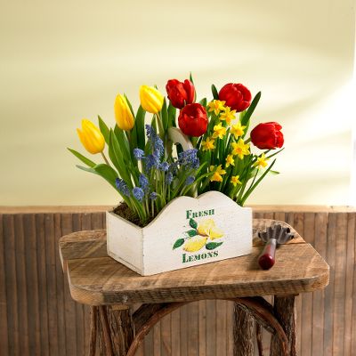 Lemon Crate Bulb Planter