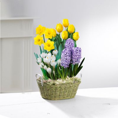 Spring Green Rope Basket