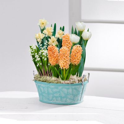 Summer Smiles Bulb Basket