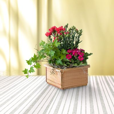 Spring's Simplicity Planter