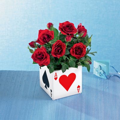 Lucky Hand Mini Rose