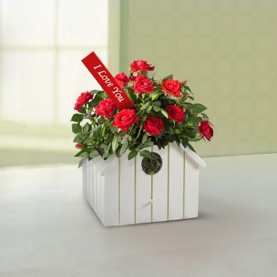 Summer Romance Birdhouse Blooms