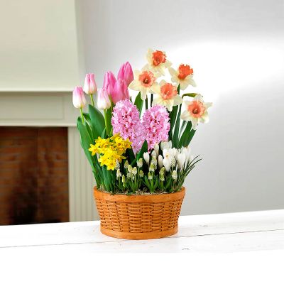 Garden Treasures Bulb Basket