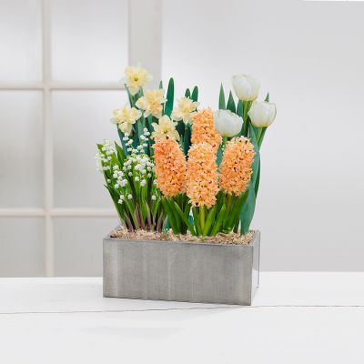 Coral Crush Bulb Basket