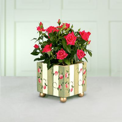 Terrace Rose Planter